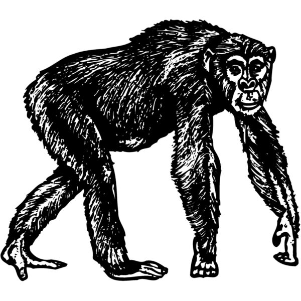 MONK007 Miniaturansicht