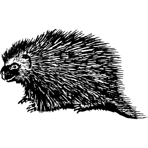 PORC001 Miniaturansicht