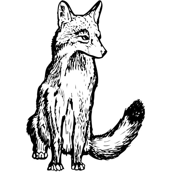 F_W008 Miniaturansicht