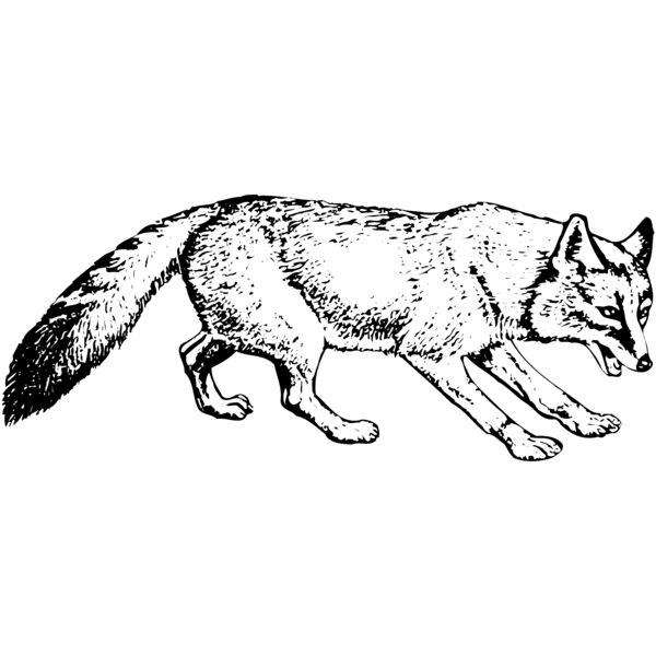 F_W014 Miniaturansicht