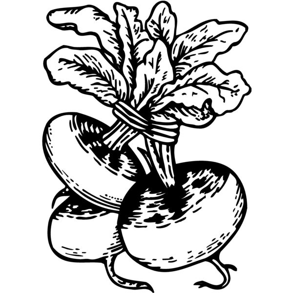 VEG017 Miniaturansicht