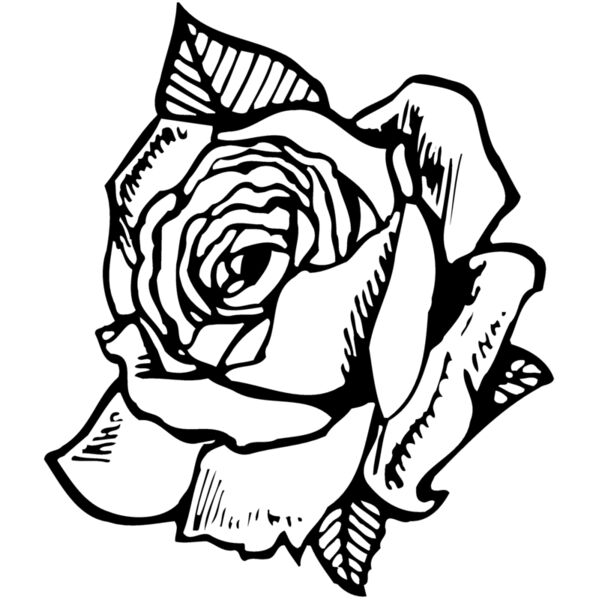 FLOWER03 Miniaturansicht