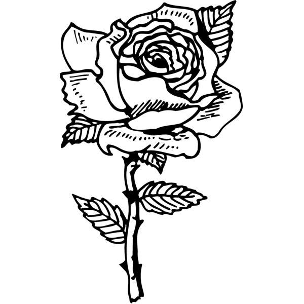 FLOWER04 Miniaturansicht