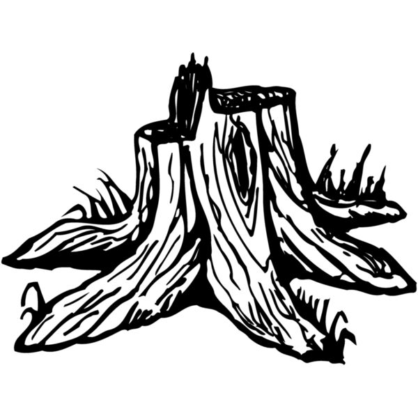 TIMBER09 Miniaturansicht