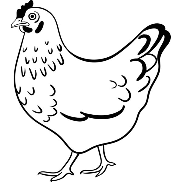 Hen   Clipart 2 Miniaturansicht