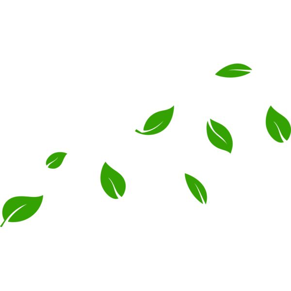 13 Leaves Miniaturansicht