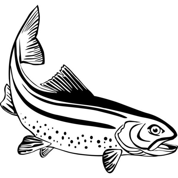 Fisch Forelle Miniaturansicht