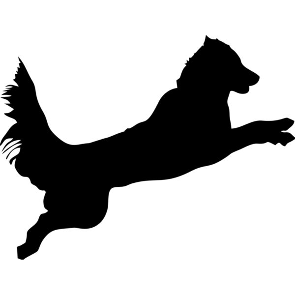 Hund Sprung Miniaturansicht