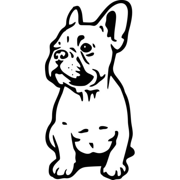 Hund Französische Bulldogge Miniaturansicht