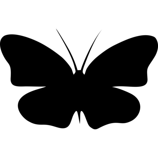 Schmetterling Miniaturansicht